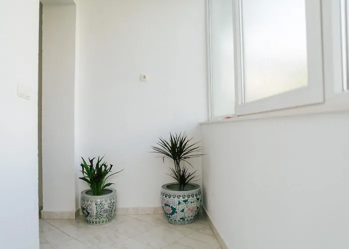 Florio Τρογκίρ